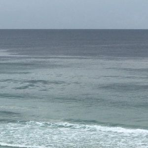 Meet your Posher, Tim